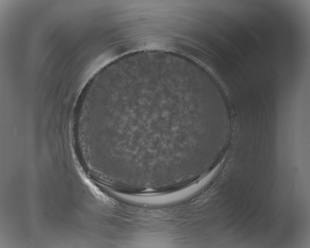 X0000077360991200610201318