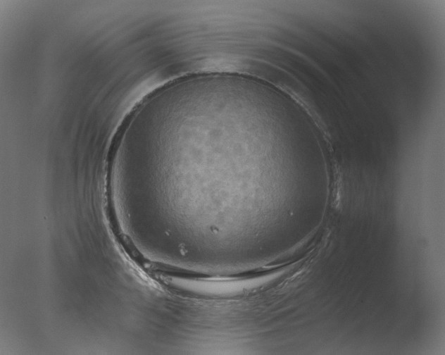 X0000077360992200610201318