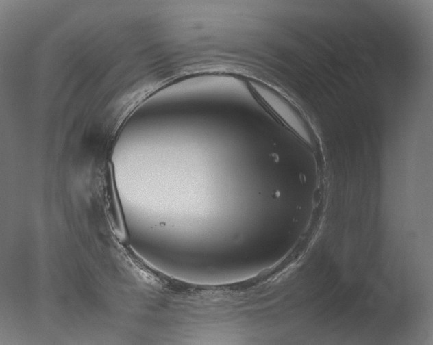 X0000077360993200610201318