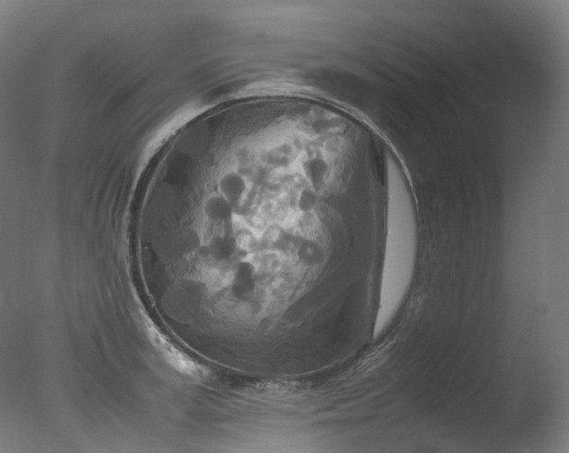 X0000077360995200610201318