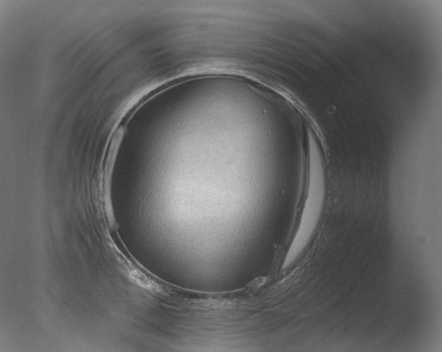 X0000077360996200610201318