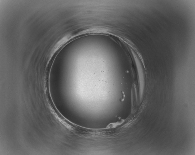 X0000077360997200610201318