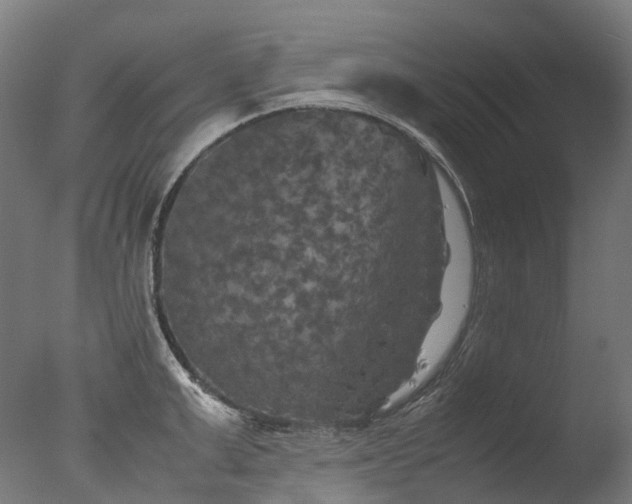 X0000077360999200610201318