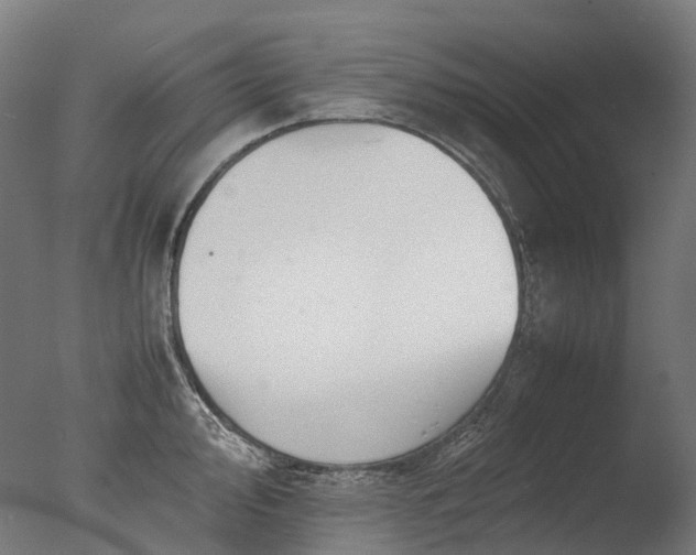 X0000077361000200610201318