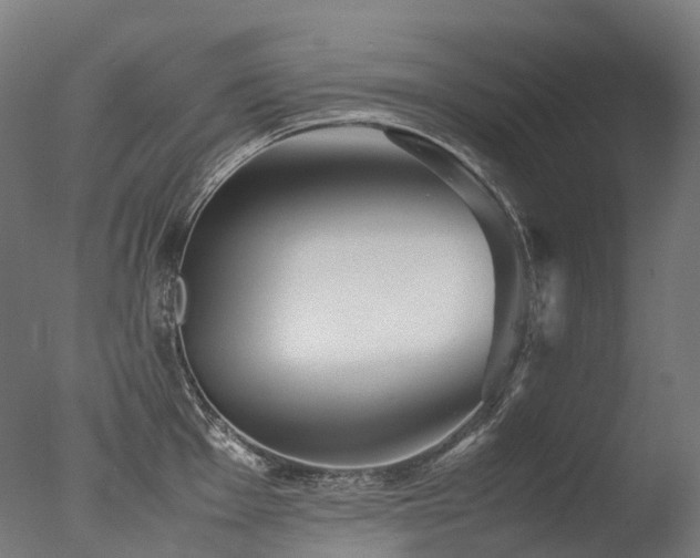 X0000077361001200610201318