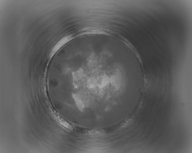 X0000077361002200610201318