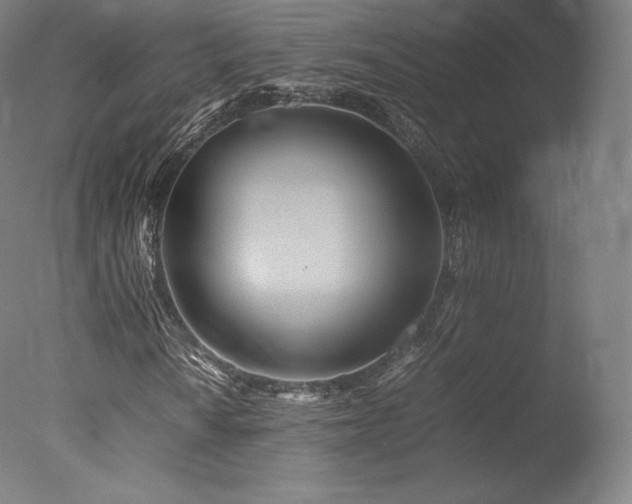 X0000077361010200610201317