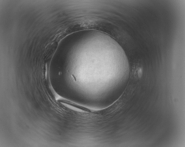 X0000077361012200610201317