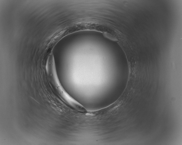 X0000077361014200610201317