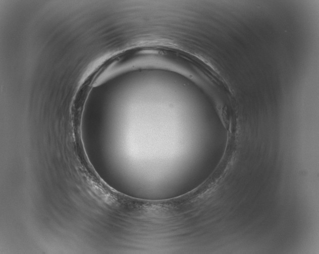 X0000077361022200610201317