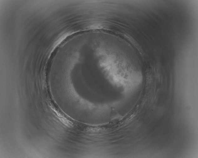 X0000077361023200610201317