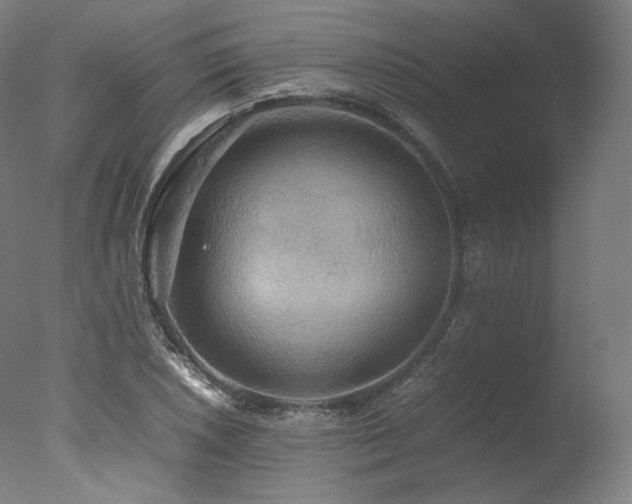 X0000077361026200610201317