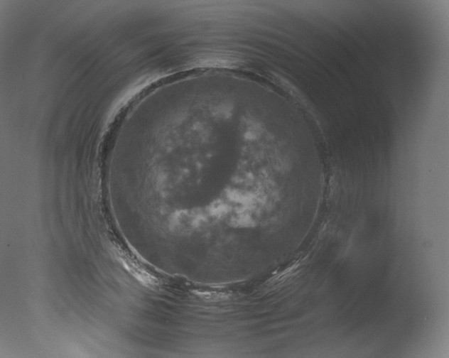 X0000077361027200610201317