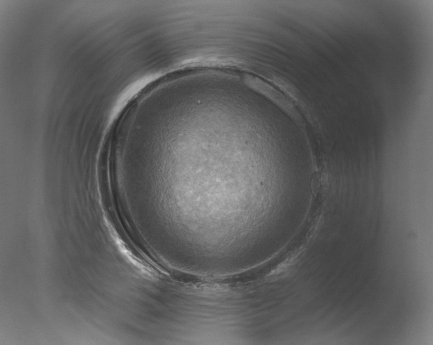 X0000077361030200610201317