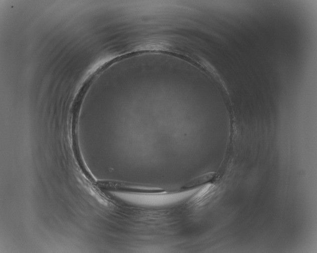 X0000077361035200610201317