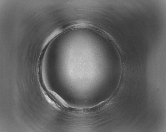 X0000077361042200610201317