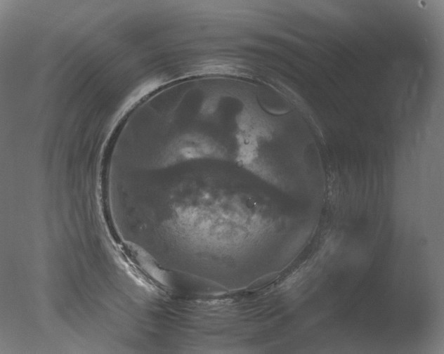 X0000077361043200610201317