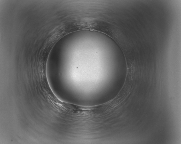 X0000077361058200610201317