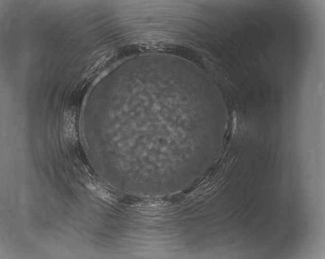 X0000077361060200610201317