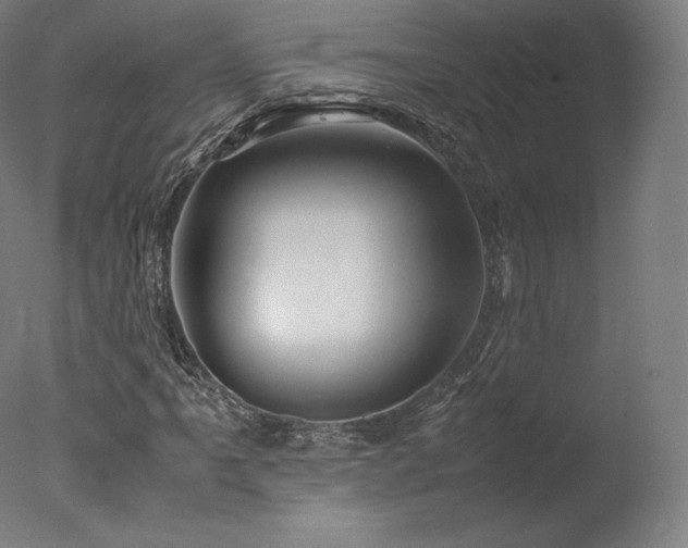 X0000077361061200610201316