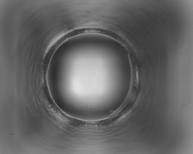 X0000077361069200610201316