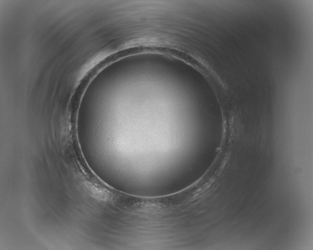 X0000077361070200610201316