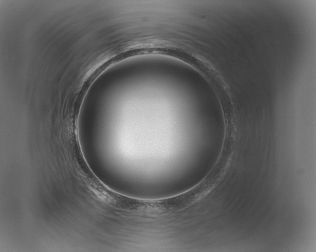 X0000077361073200610201316