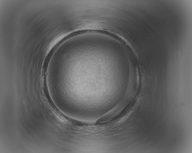 X0000077361077200610201316