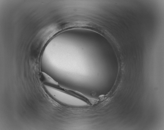 X0000077361081200610201316