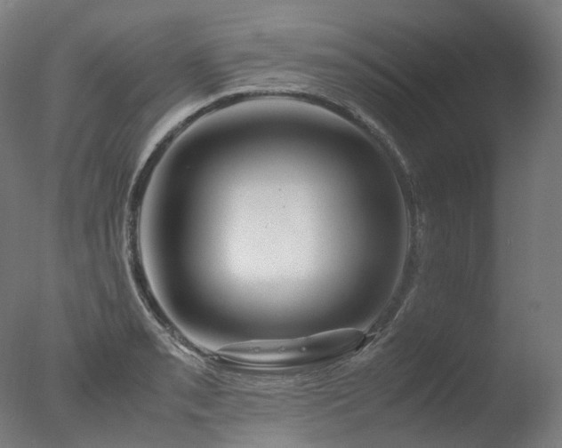 X0000077361085200610201316