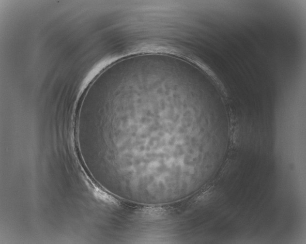 X0000077361094200610201316