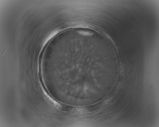X0000077361095200610201316