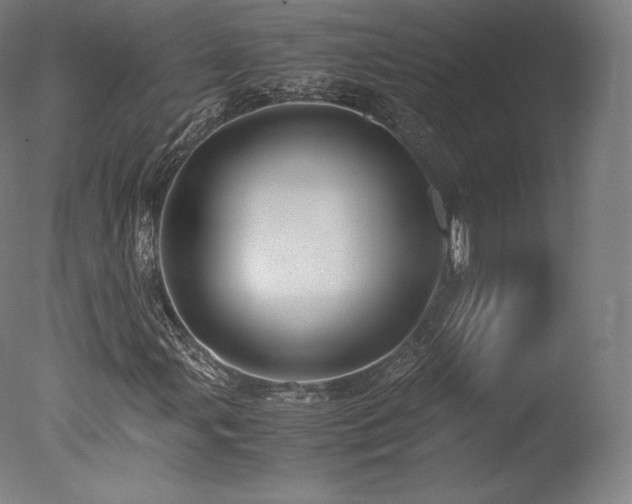 X0000077361107200610201315