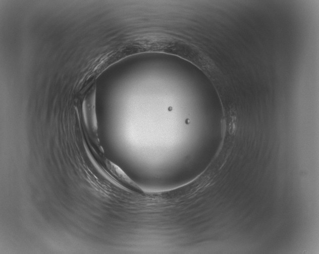 X0000077361108200610201315