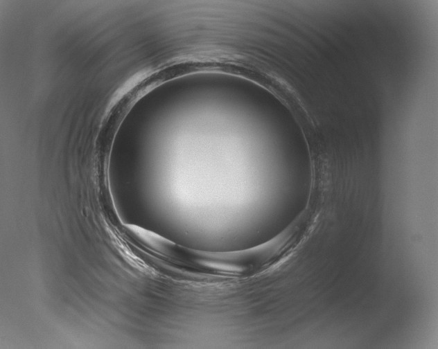 X0000077361114200610201315