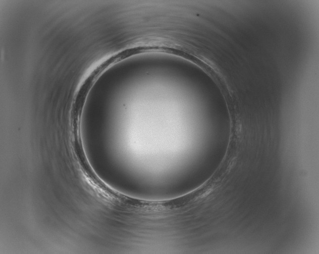 X0000077361120200610201315
