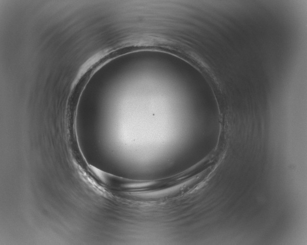 X0000077361122200610201315