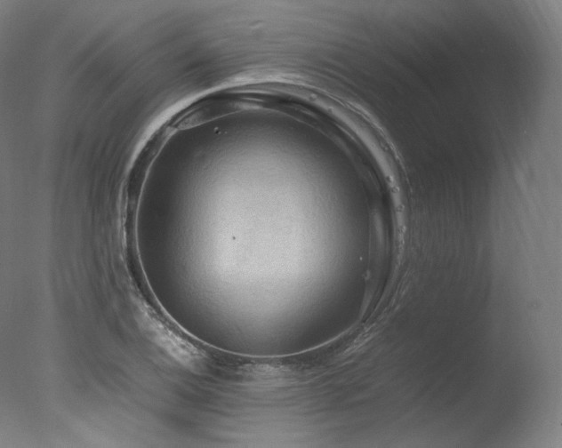 X0000077361124200610201315