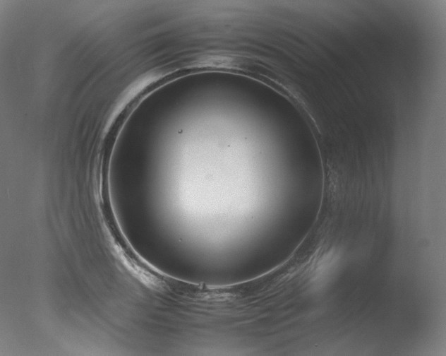 X0000077361131200610201315