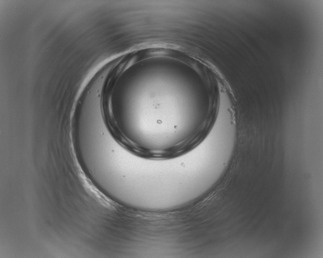 X0000077361132200610201315