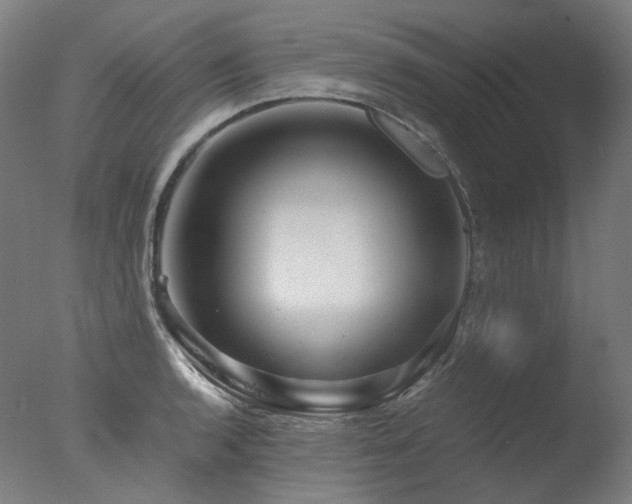 X0000077361136200610201315