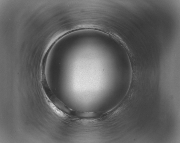 X0000077361140200610201316