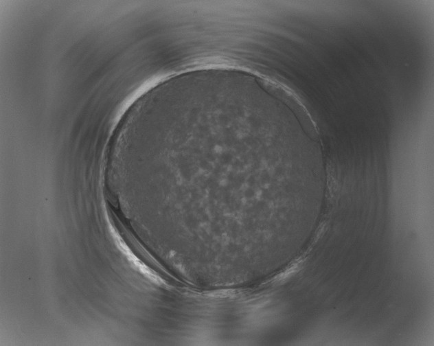 X0000077361142200610201316