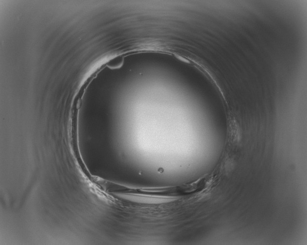 X0000077361147200610201316