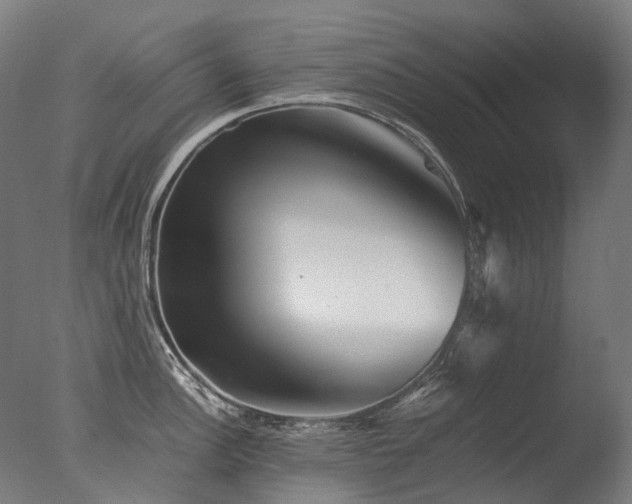 X0000077361148200610201316
