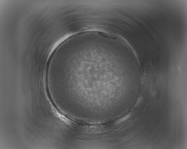 X0000077361149200610201316