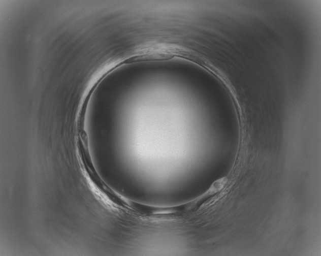 X0000077361152200610201316