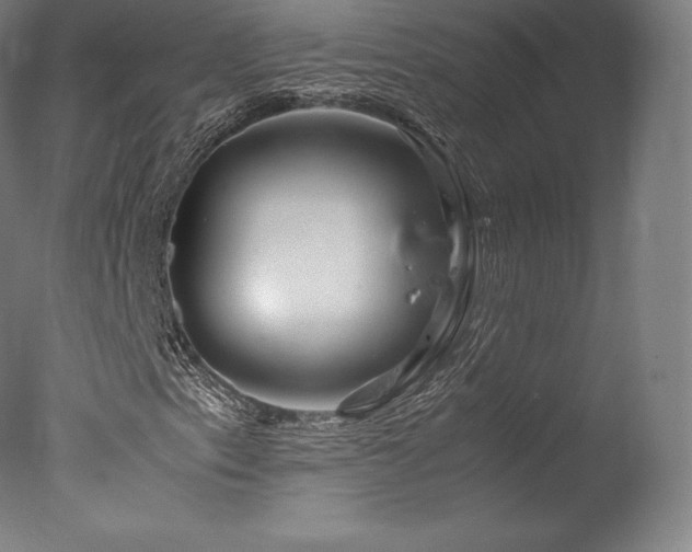 X0000077361153200610201315
