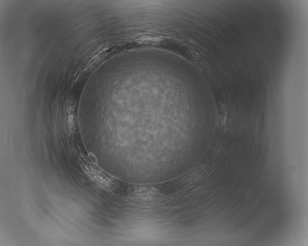 X0000077361154200610201315