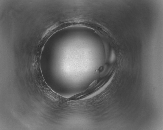 X0000077361160200610201315